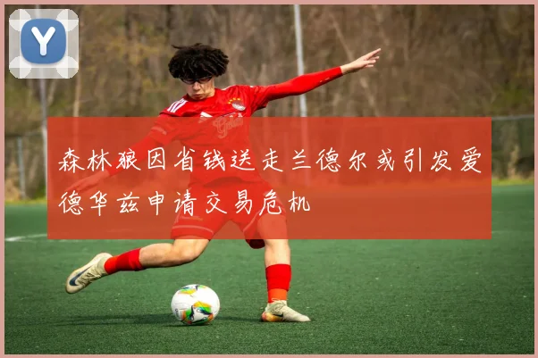 森林狼因省钱送走兰德尔或引发爱德华兹申请交易危机